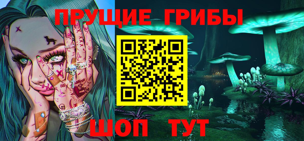 Псилоцибиновые грибы MAGIC MUSHROOMS  Вход с VPN  Великий Устюг 
